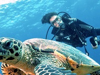 diving
