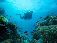 diving
