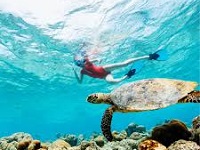 diving